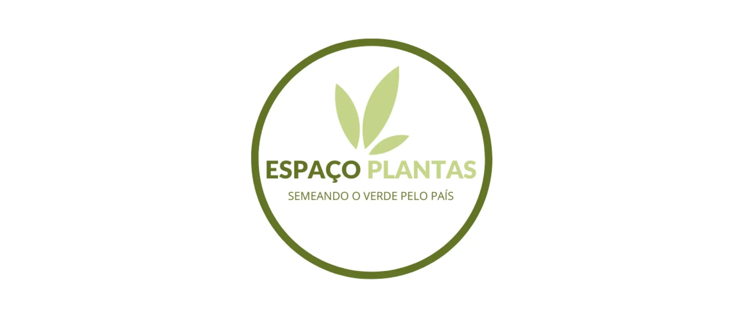 Cliente MJ Verde