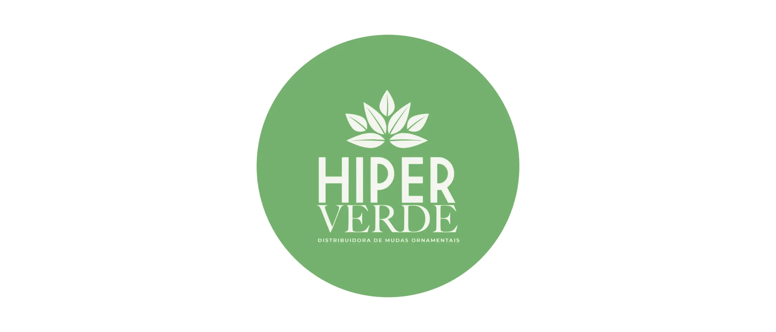 Cliente MJ Verde